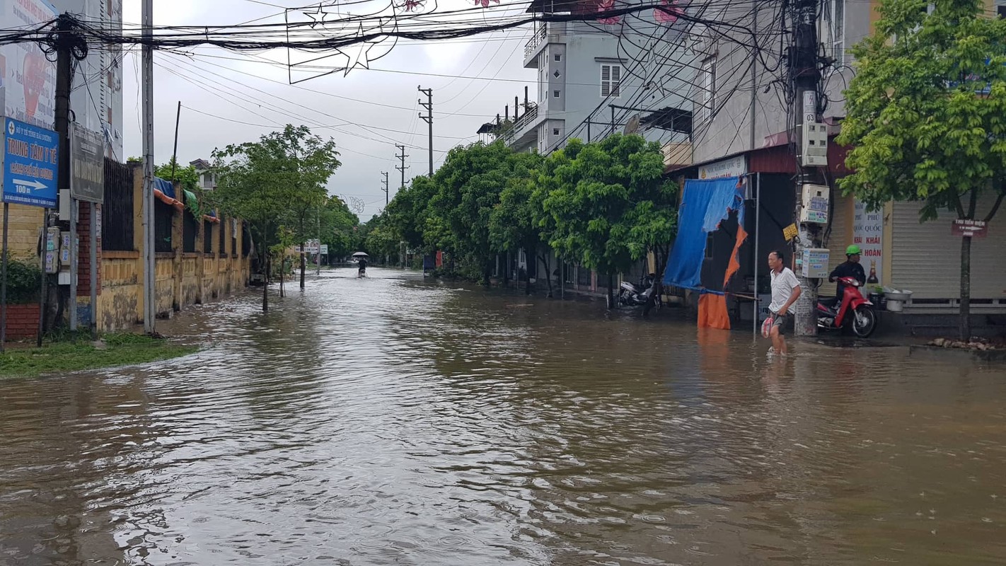 Anh huong bao so 3: Hai Duong ngap lut, Hai Phong bat goc cay xanh-Hinh-20