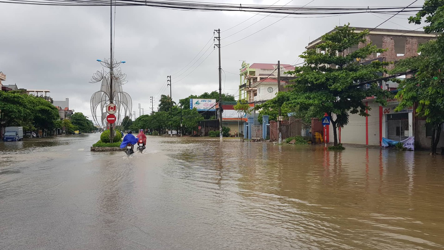 Anh huong bao so 3: Hai Duong ngap lut, Hai Phong bat goc cay xanh-Hinh-24