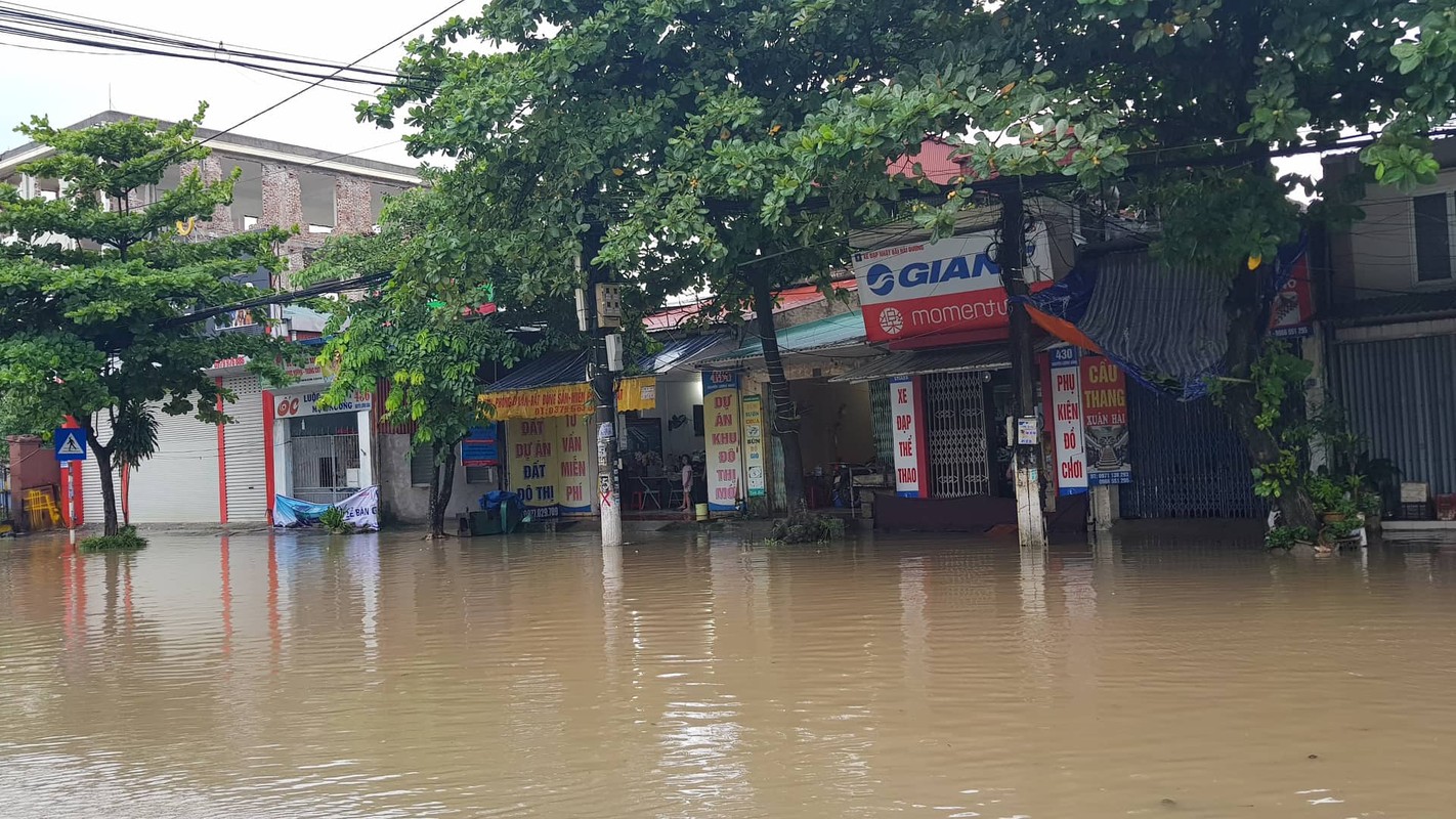 Anh huong bao so 3: Hai Duong ngap lut, Hai Phong bat goc cay xanh-Hinh-28