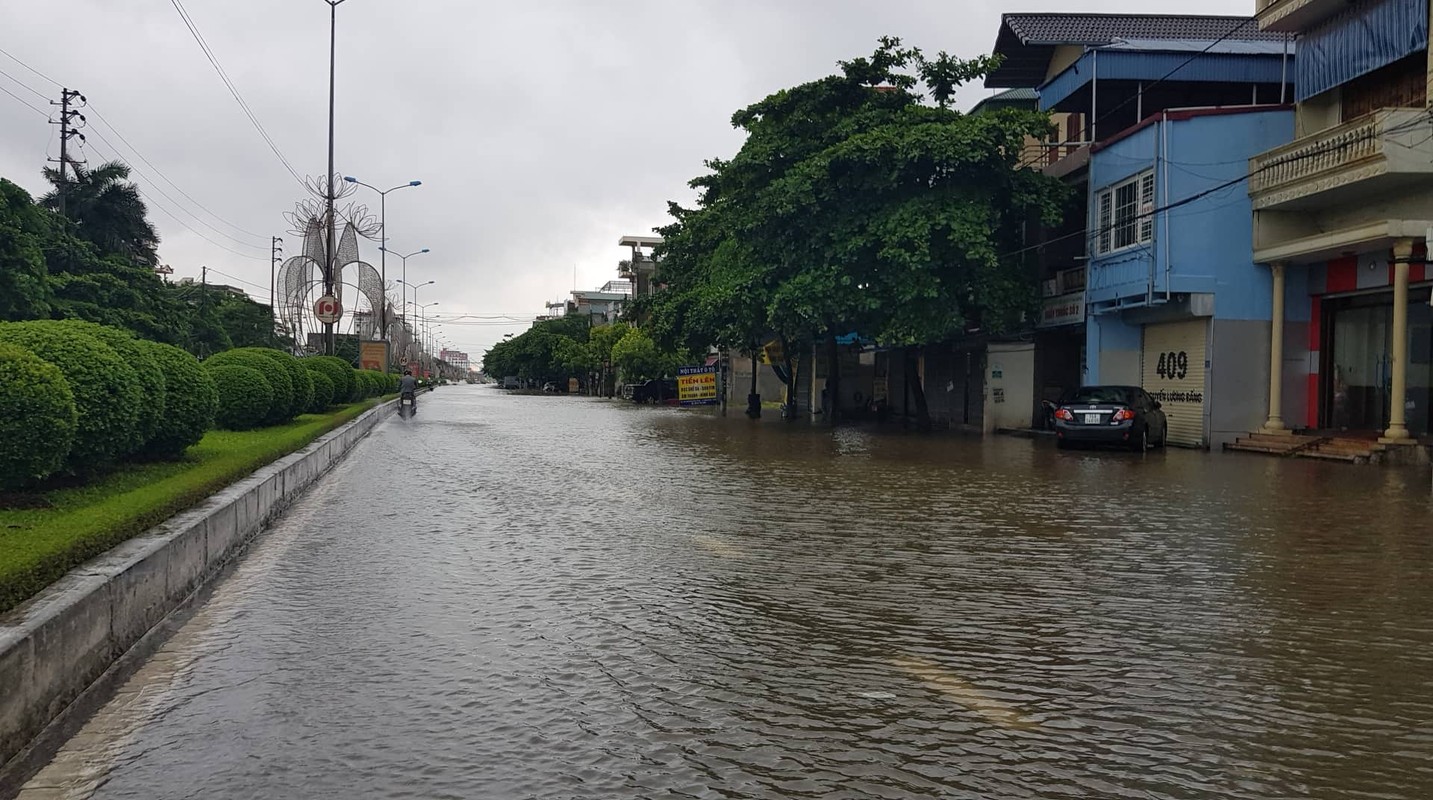 Anh huong bao so 3: Hai Duong ngap lut, Hai Phong bat goc cay xanh-Hinh-30