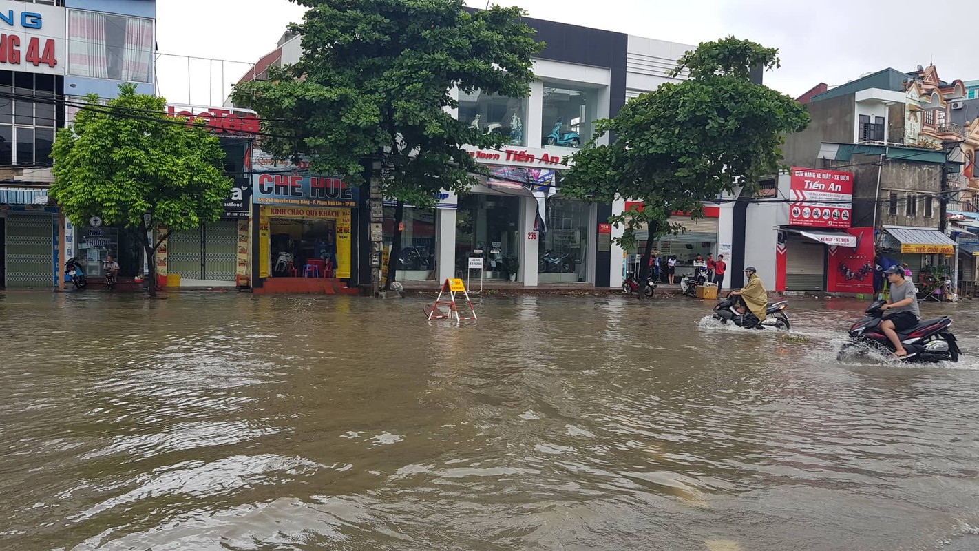 Anh huong bao so 3: Hai Duong ngap lut, Hai Phong bat goc cay xanh-Hinh-6