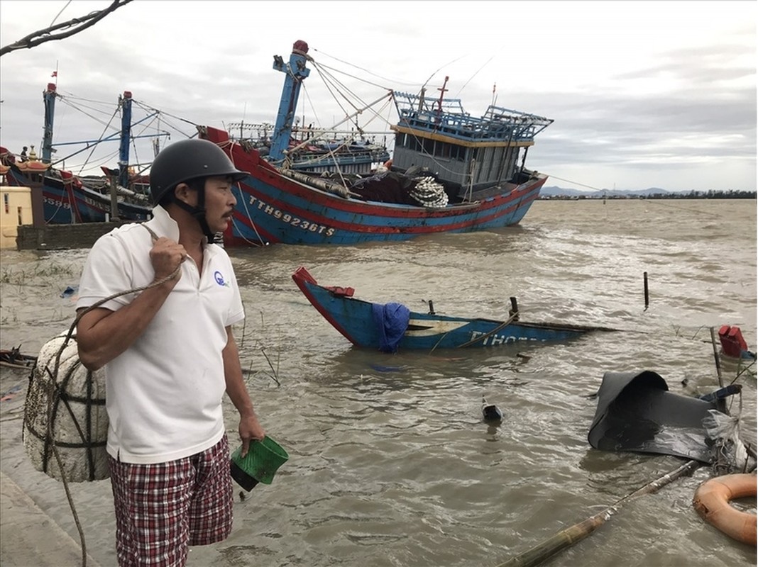 Bao da di qua Quang Binh, Ha Tinh: Nha sap, truong toc mai-Hinh-11