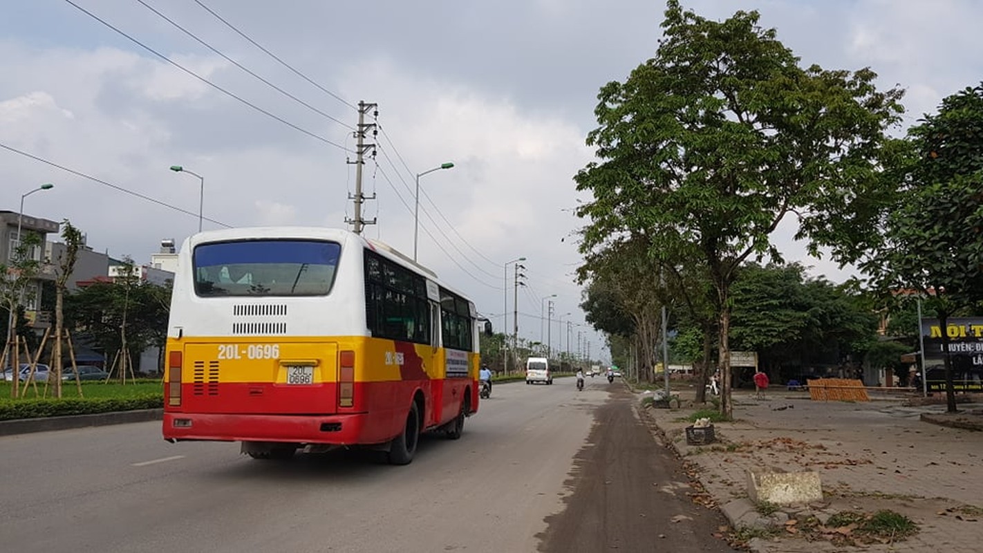 TP Hai Duong gap rut thay the hon 700 cay xanh tren duong Truong Chinh-Hinh-2