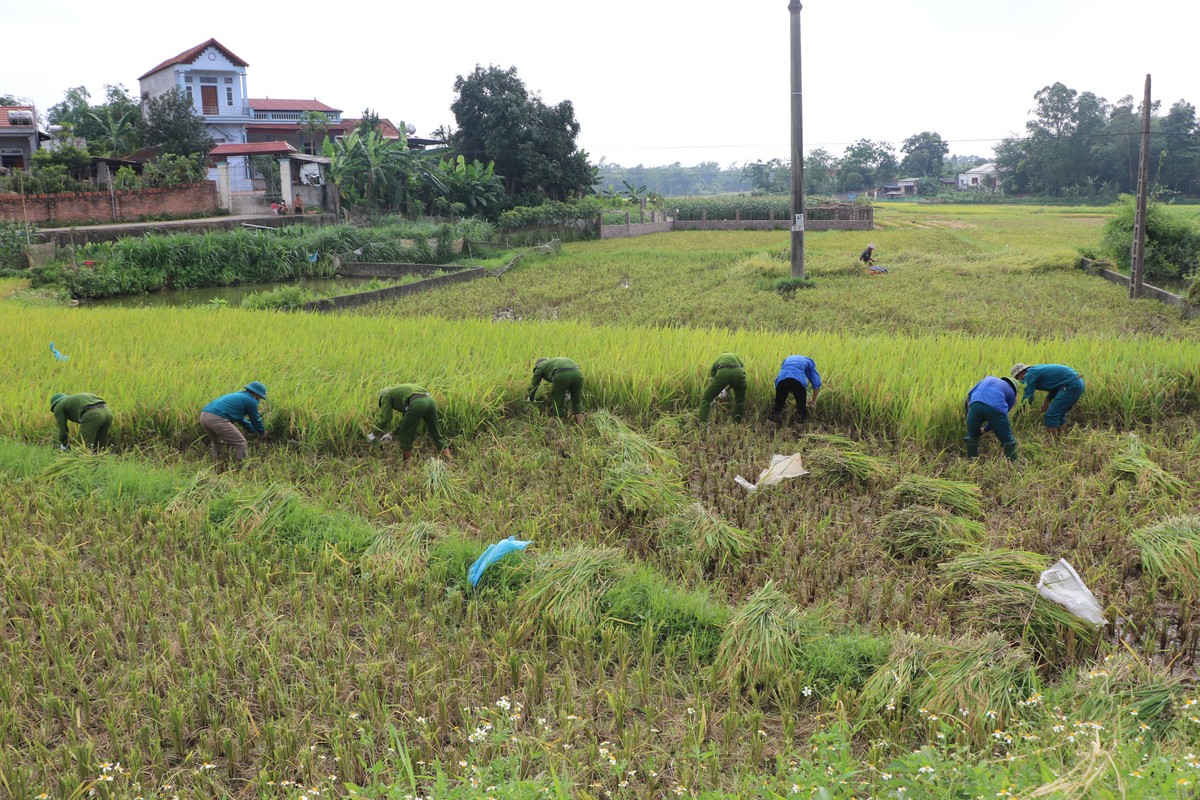 Cong an Vinh Phuc doi nang gat lua giup ba con dang cach ly COVID-19-Hinh-2