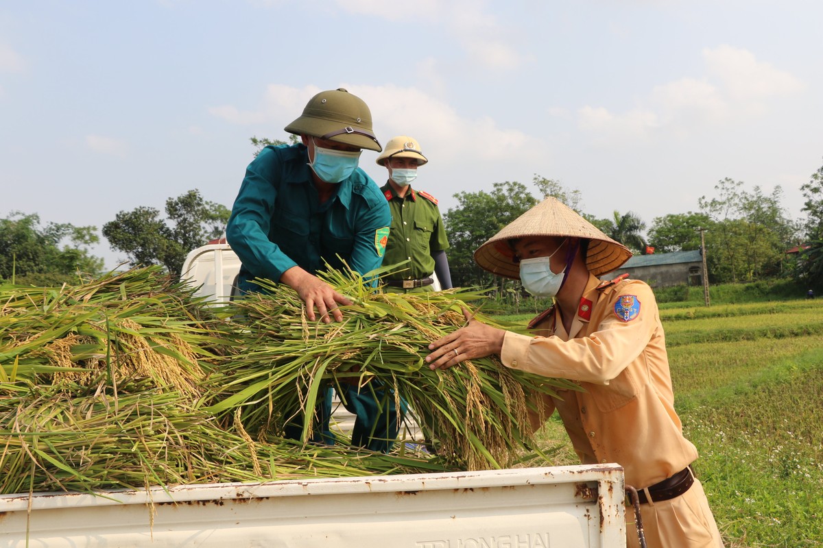 Cong an Vinh Phuc doi nang gat lua giup ba con dang cach ly COVID-19-Hinh-5