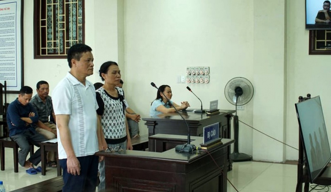 Vo chong Giam doc cong ty Lam Quyet bi de nghi truy to-Hinh-9