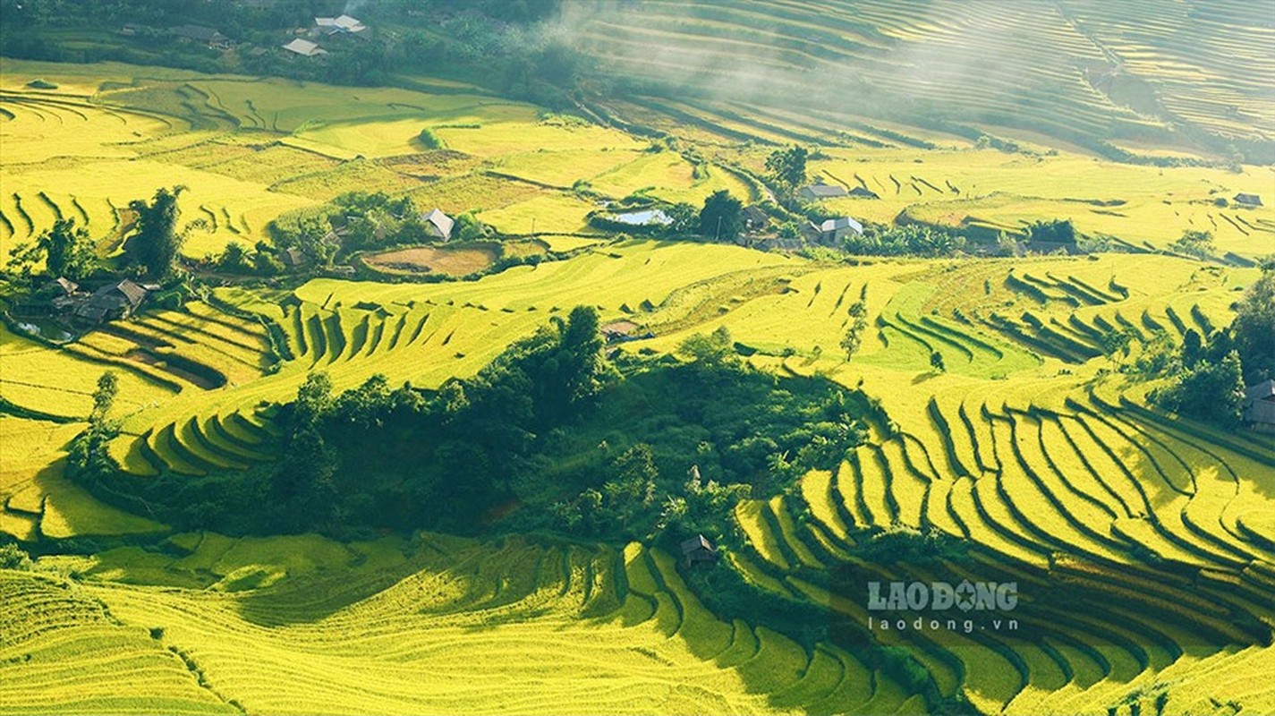 Ngat ngay mua lua chin tren Ta Leng Lai Chau-Hinh-3