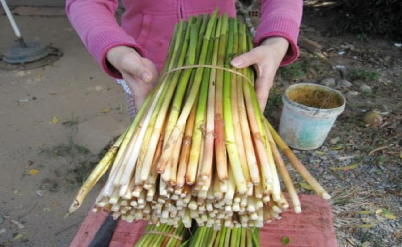 Rau la cho mang ban 120.000d/kg, hoa ra la cay dai moc day o vung nay-Hinh-2