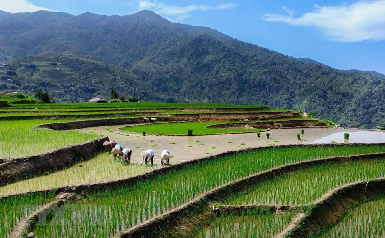 Ruong bac thang Ha Giang dep lung linh mua nuoc do-Hinh-3