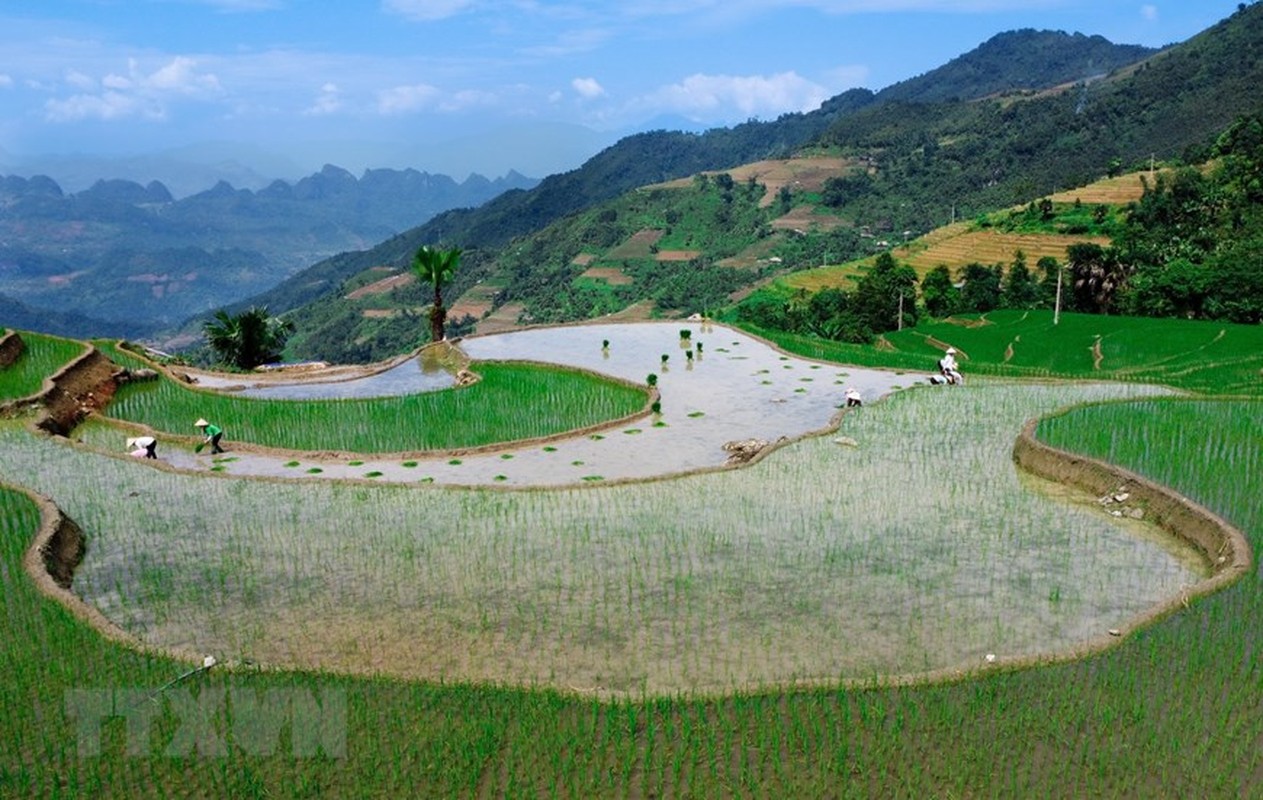 Ruong bac thang Ha Giang dep lung linh mua nuoc do-Hinh-4