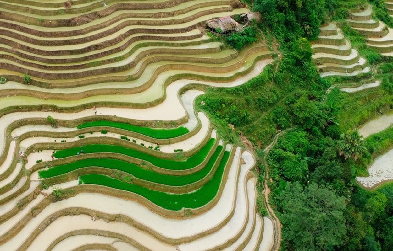 Ruong bac thang Ha Giang dep lung linh mua nuoc do-Hinh-5