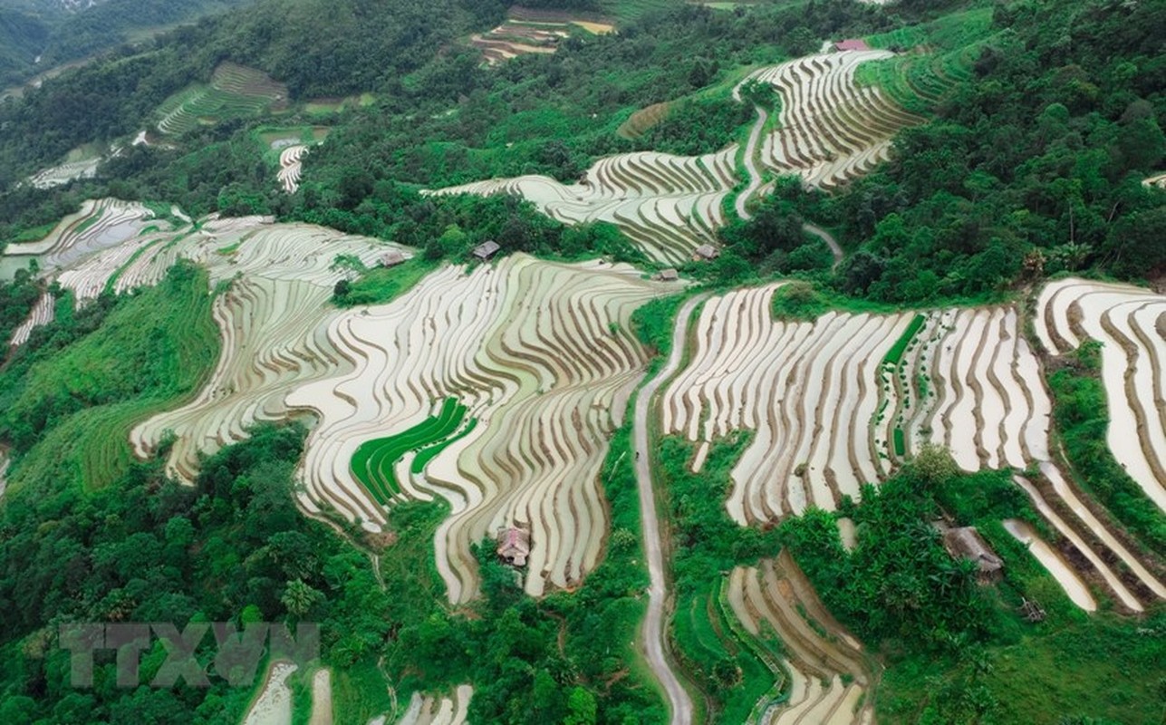 Ruong bac thang Ha Giang dep lung linh mua nuoc do-Hinh-6