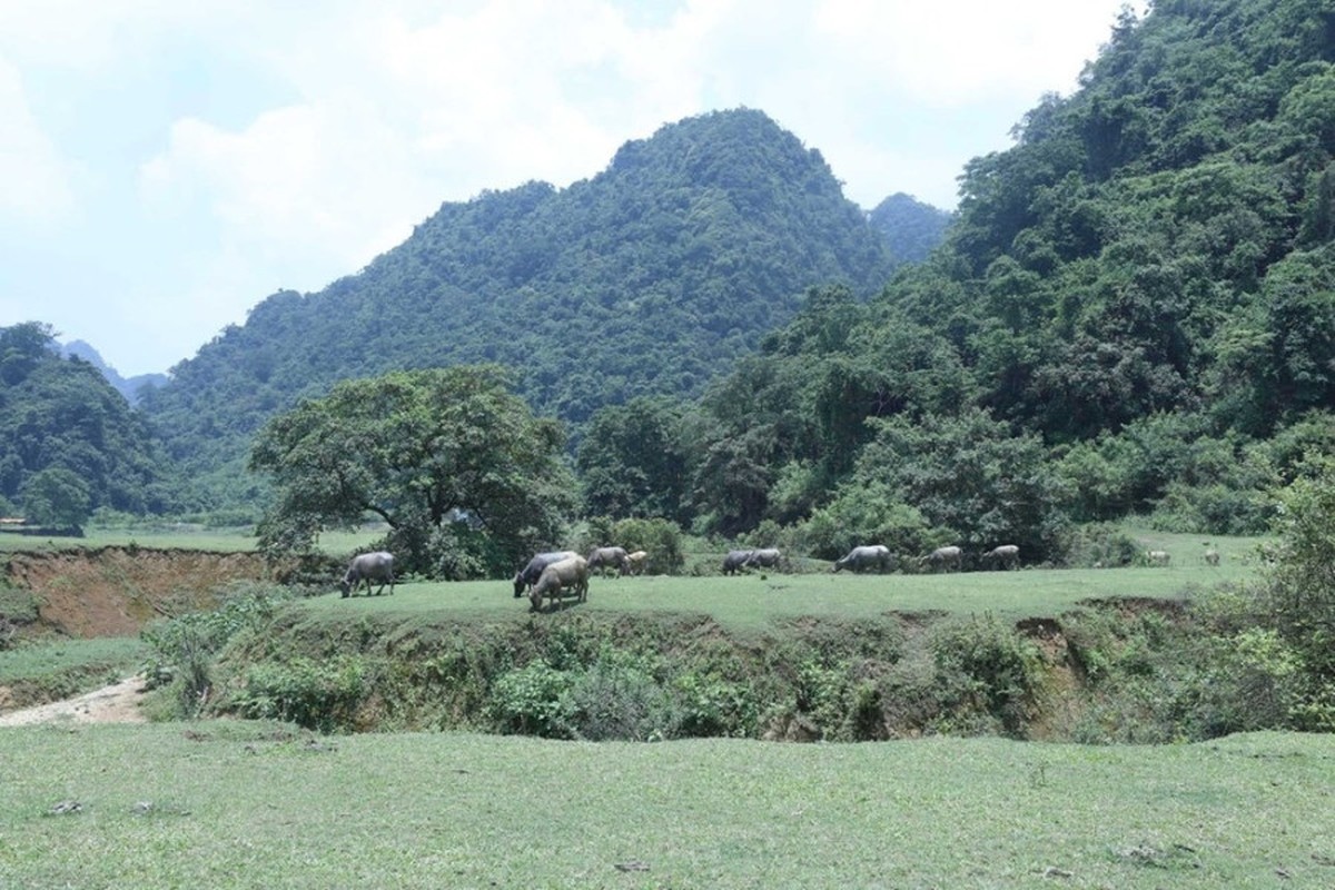 Kham pha thao nguyen Dong Lam xu Lang- mot 