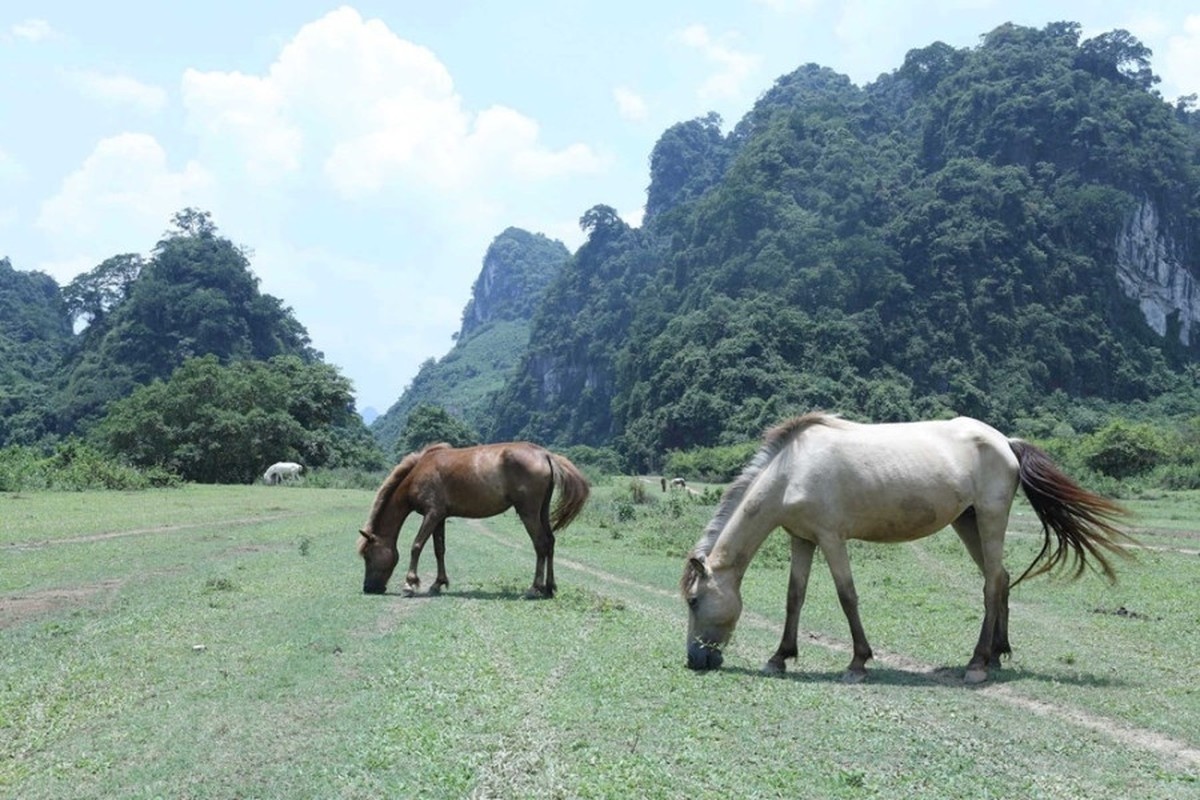 Kham pha thao nguyen Dong Lam xu Lang- mot 