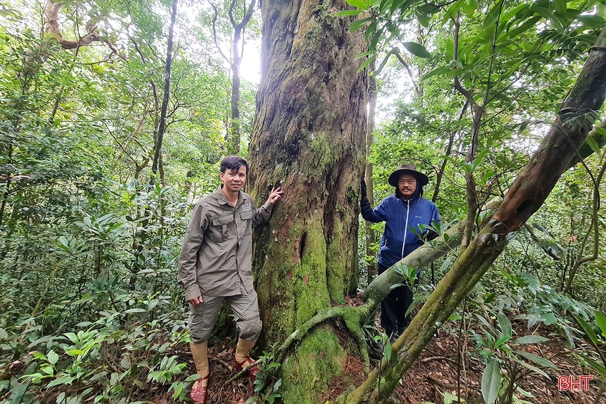 Kham pha nhung gia tri tiem an cua Vuon Quoc gia Vu Quang-Hinh-13