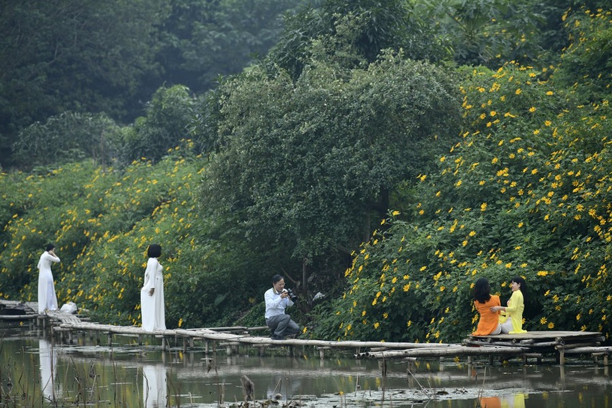 Doc dao vuon hoa da quy ngay giua long Ha Noi-Hinh-7