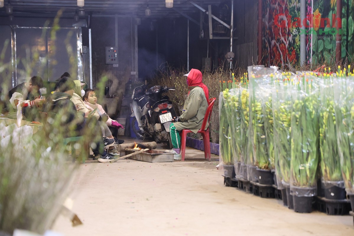View - 	Gần Tết chợ hoa lớn nhất Hà Nội vẫn đìu hiu dù giá giảm