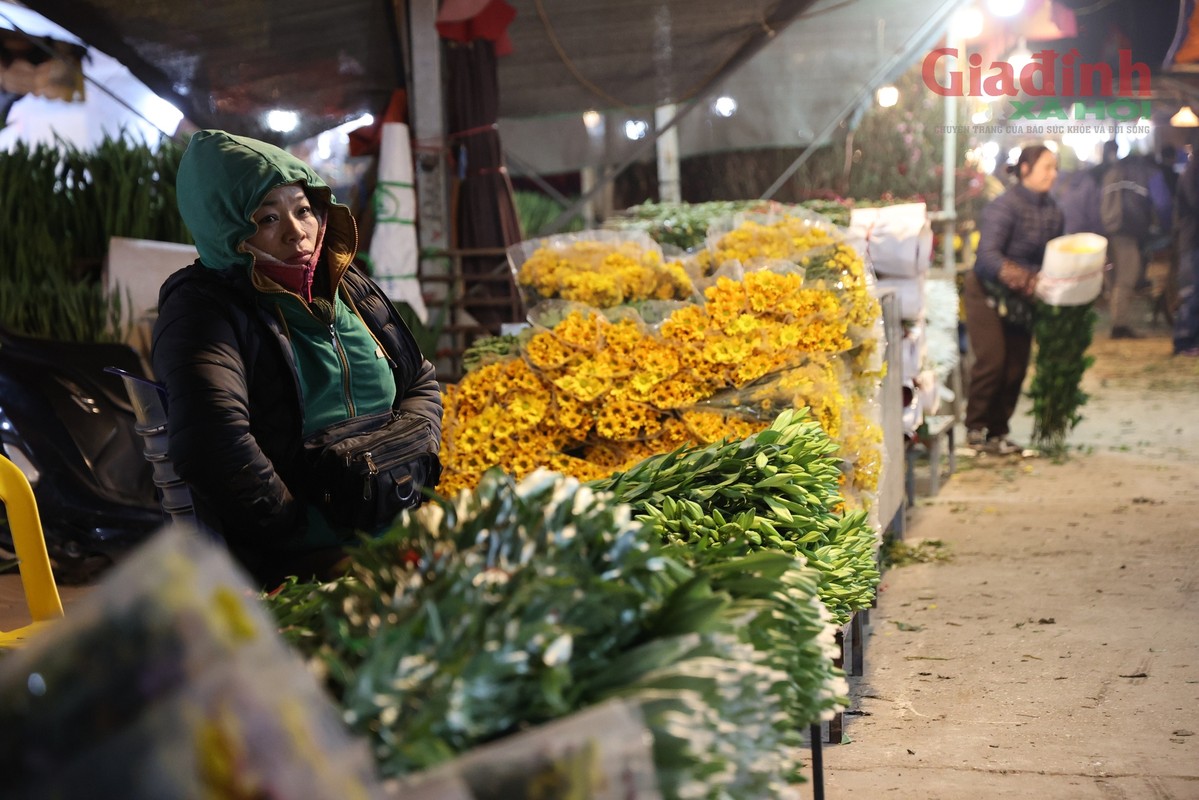 View - 	Gần Tết chợ hoa lớn nhất Hà Nội vẫn đìu hiu dù giá giảm