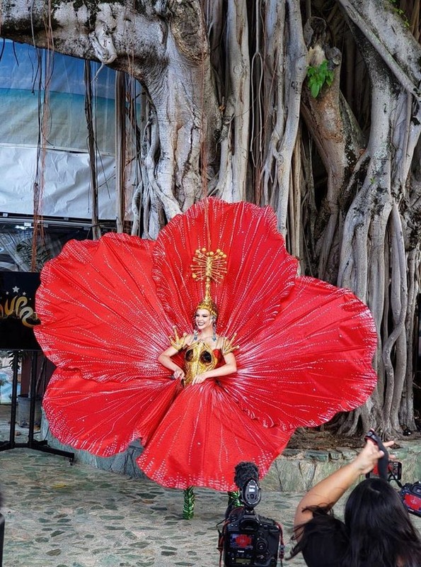 Hoang Thuy loai hoa dam but, doi thu Miss Universe dung y tuong nay lai hot-Hinh-6