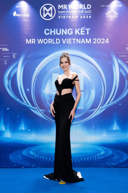 View - 	Dàn hoa hậu lộng lẫy trên thảm đỏ chung kết Mr World Vietnam 2024