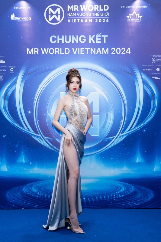 View - 	Dàn hoa hậu lộng lẫy trên thảm đỏ chung kết Mr World Vietnam 2024