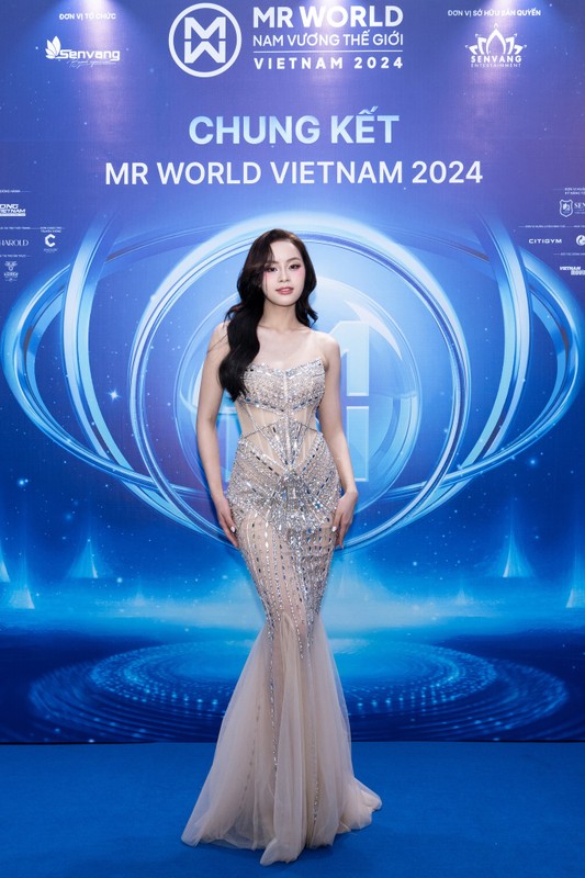 View - 	Dàn hoa hậu lộng lẫy trên thảm đỏ chung kết Mr World Vietnam 2024