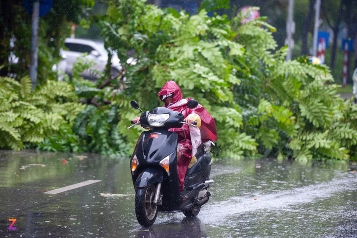 Ha Noi: Ben trong Benh vien Bach Mai khi bao Yagi do bo-Hinh-10