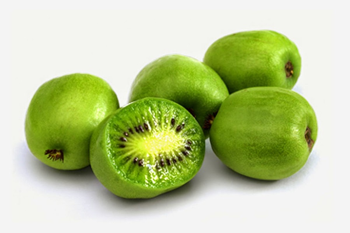 Tan muc giong kiwi berry xanh hai ra tien-Hinh-10
