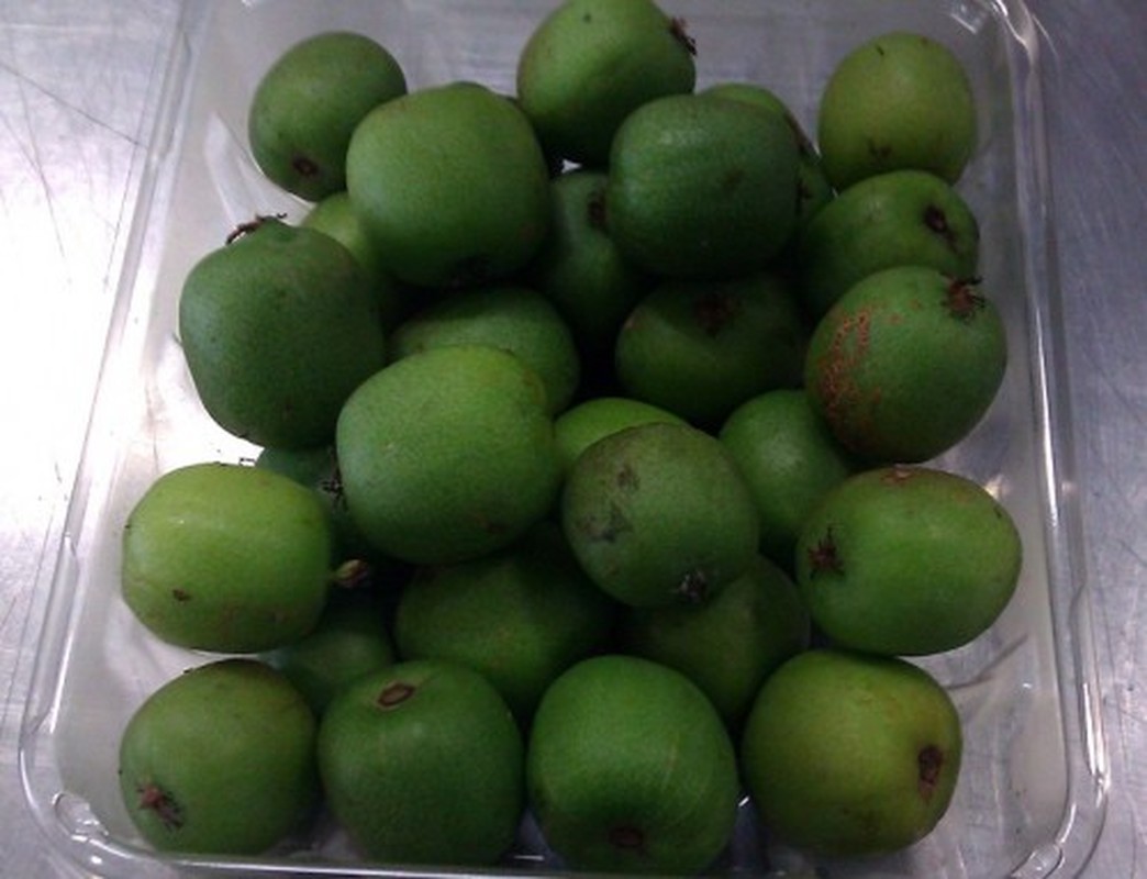 Tan muc giong kiwi berry xanh hai ra tien-Hinh-5