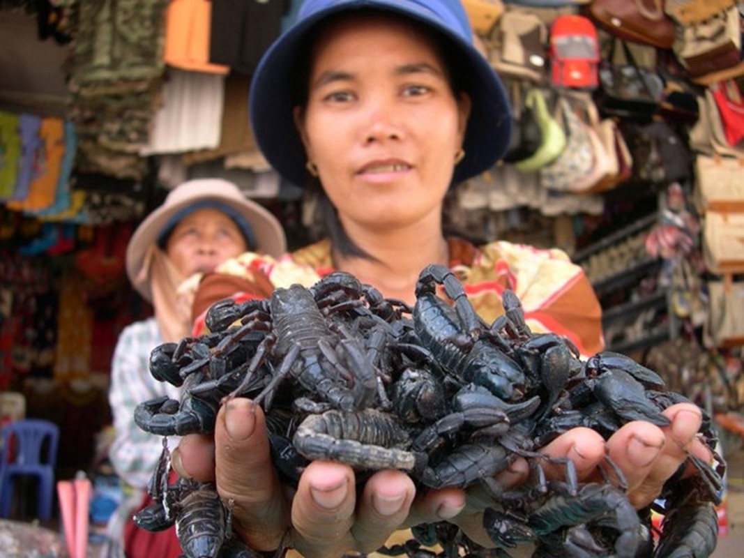 Nhung khu cho con trung noi tieng rung ron-Hinh-5