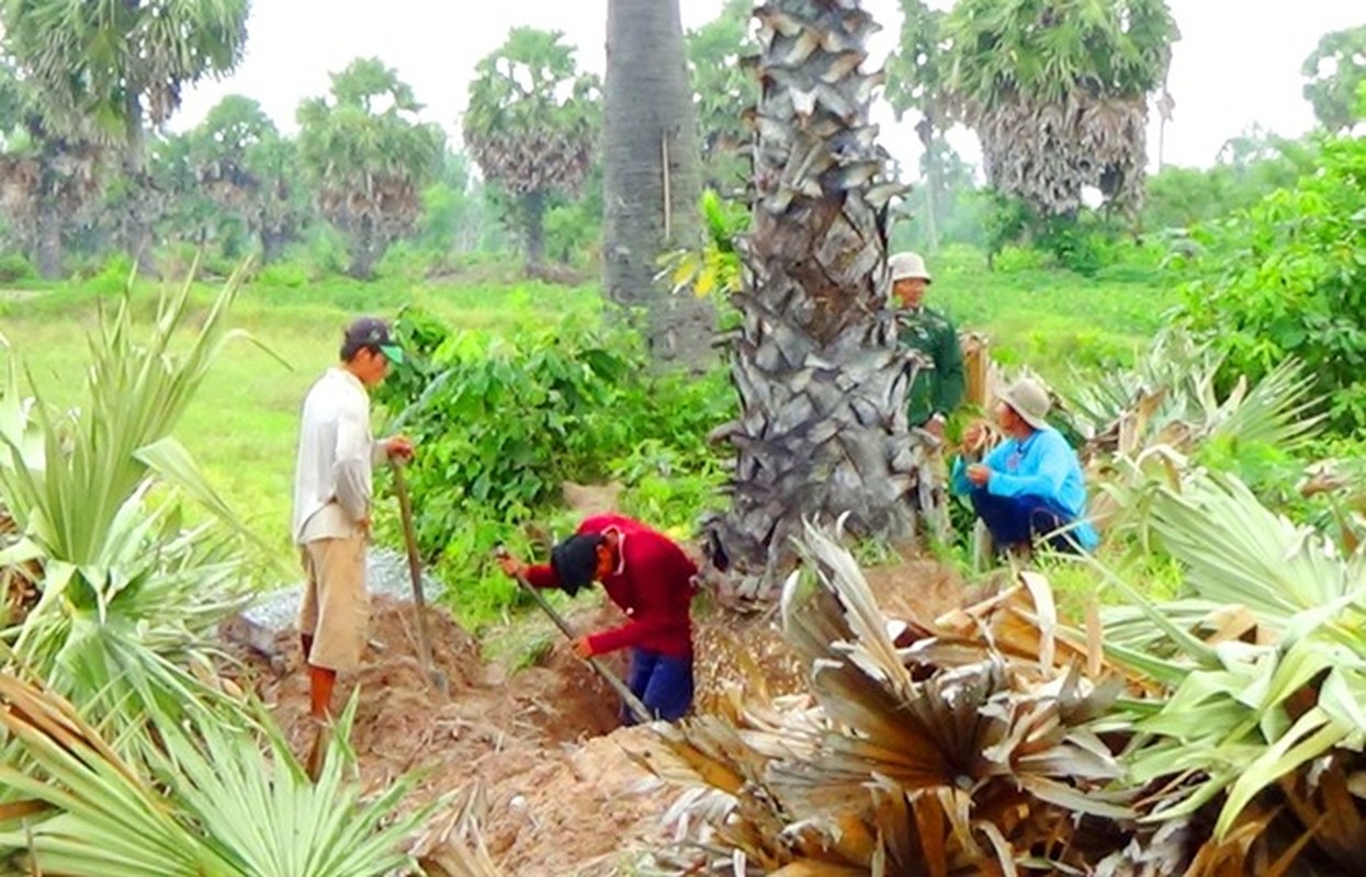 Thot not chuc tuoi bi don khong thuong tiec ban lam canh-Hinh-2