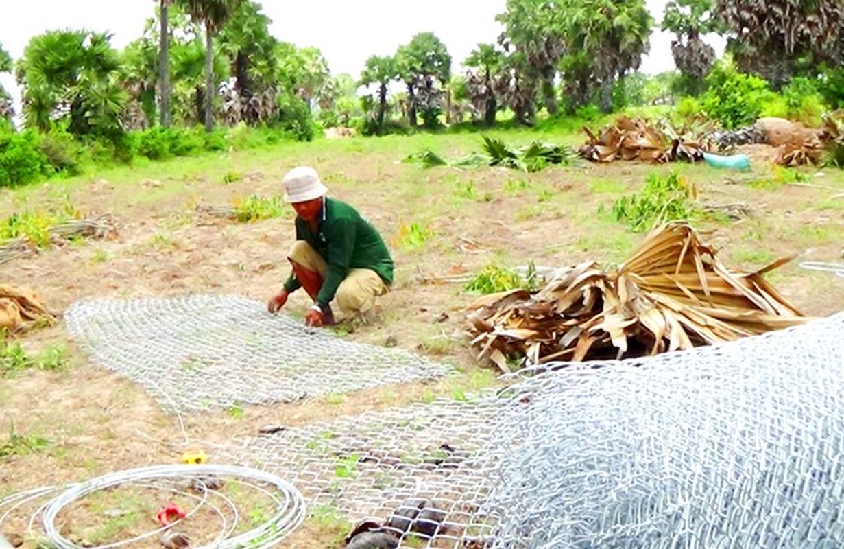 Thot not chuc tuoi bi don khong thuong tiec ban lam canh-Hinh-5