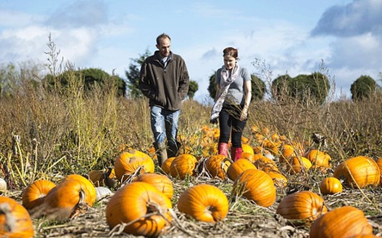 Tan muc trang trai trong bi ngo khong lo cho le Halloween-Hinh-5