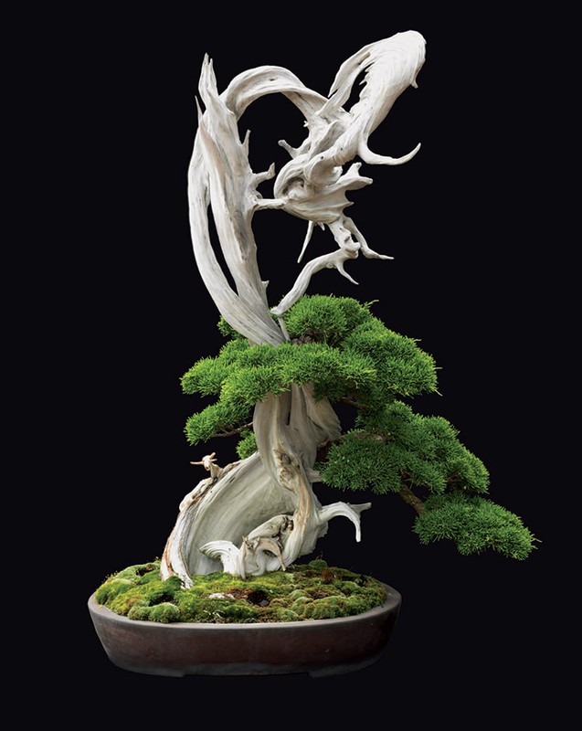 Ngam bonsai dang doc hut hon nguoi xem-Hinh-6