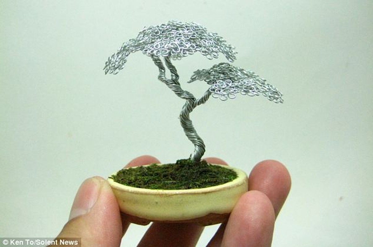 Cay bonsai tu day kim loai khien nguoi xem thich me-Hinh-10