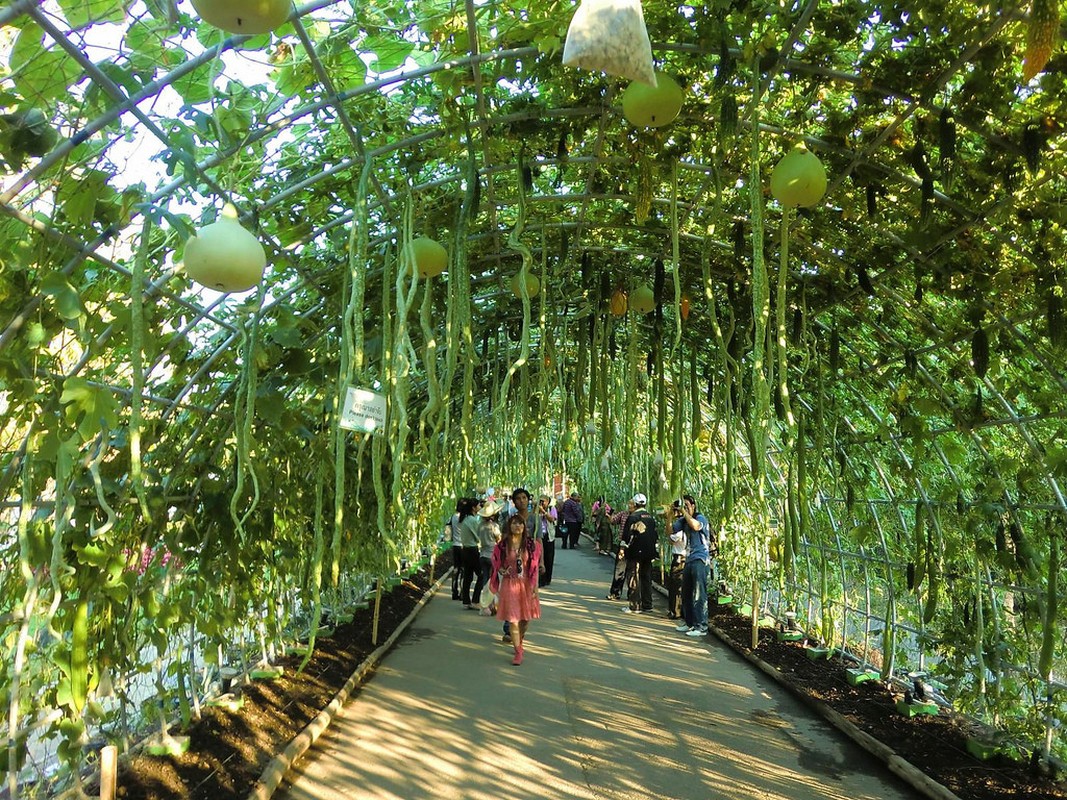 Nhung gian bau bi hoanh trang den kho tin