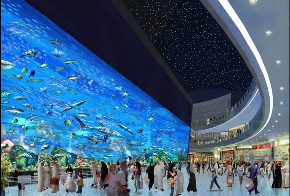 Hinh anh sieu an tuong trong TTTM lon nhat the gioi Dubai Mall-Hinh-5