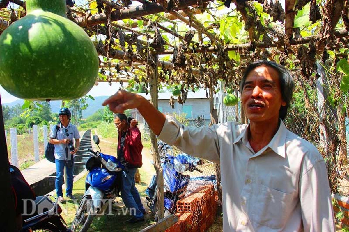 Thich mat ca gian bau ho lo luc liu trong nang-Hinh-5