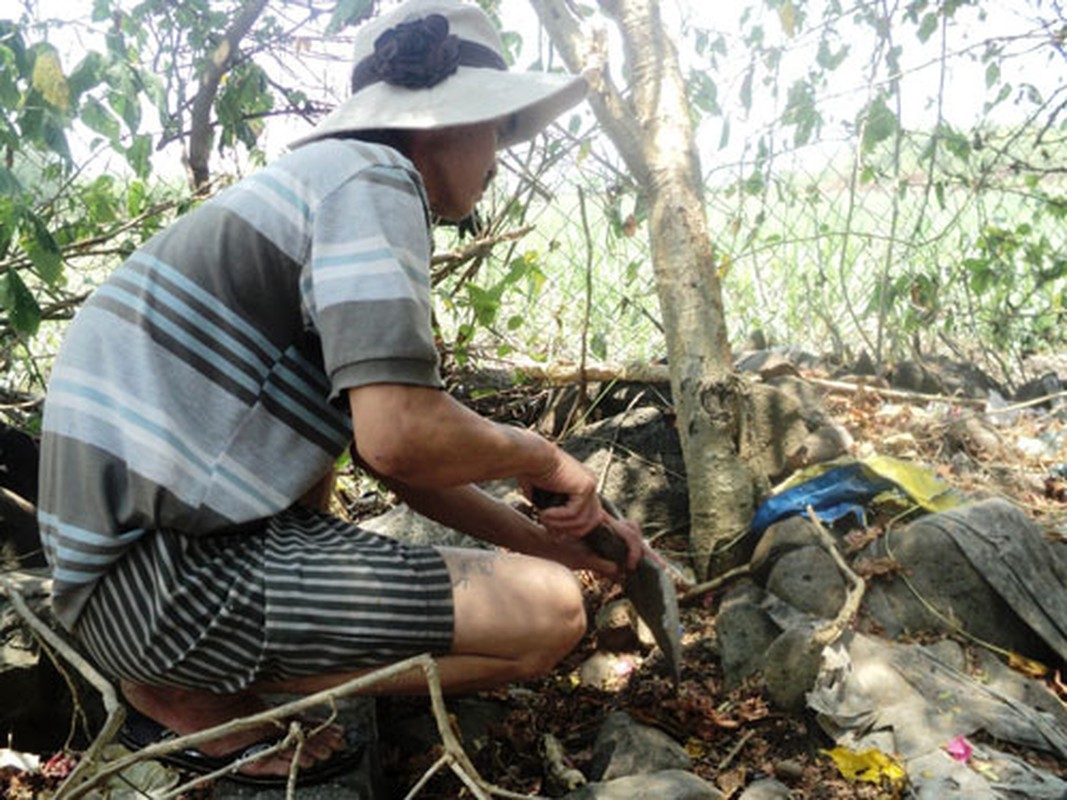 Ngo ngang nhung lan vang bat ngo tu tren troi roi xuong-Hinh-10