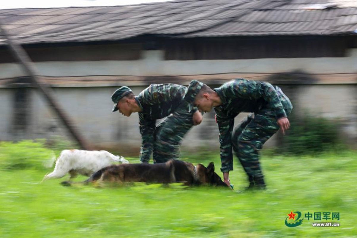 Ngam xem canh sat Trung Quoc huan luyen cho nghiep vu-Hinh-3