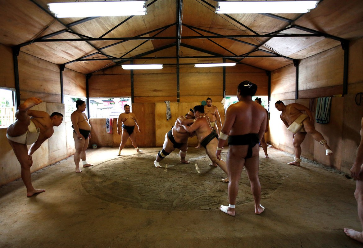 Loat anh hiem ben trong lo huan luyen sumo cua Nhat-Hinh-2