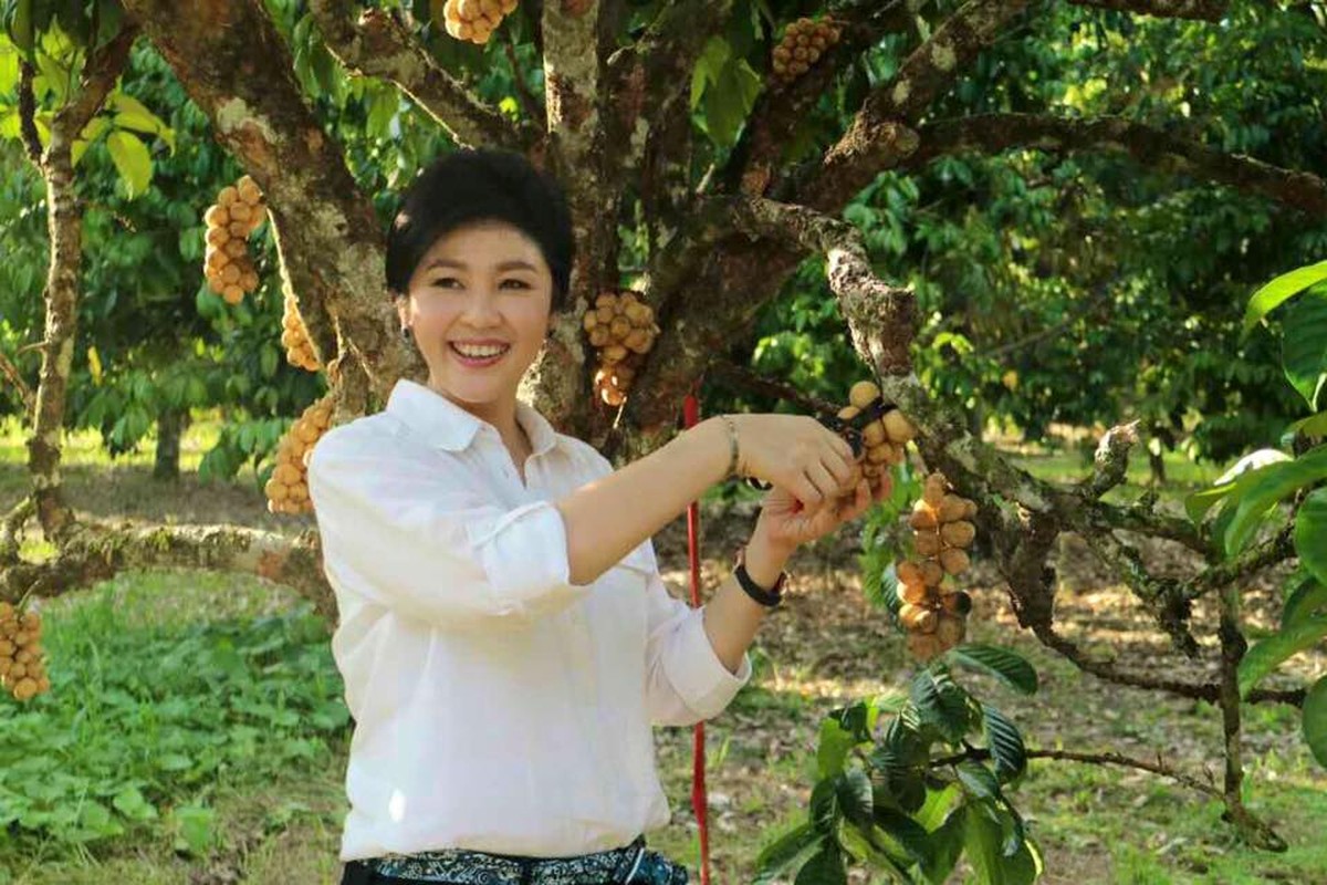 Cuoc song doi thuong cua cuu Thu tuong Thai Lan Yingluck-Hinh-9