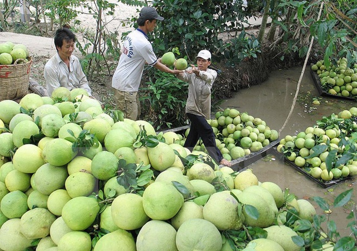 Dac san ngon ngat ngay, say long nguoi cua xu Hue mong mo-Hinh-13