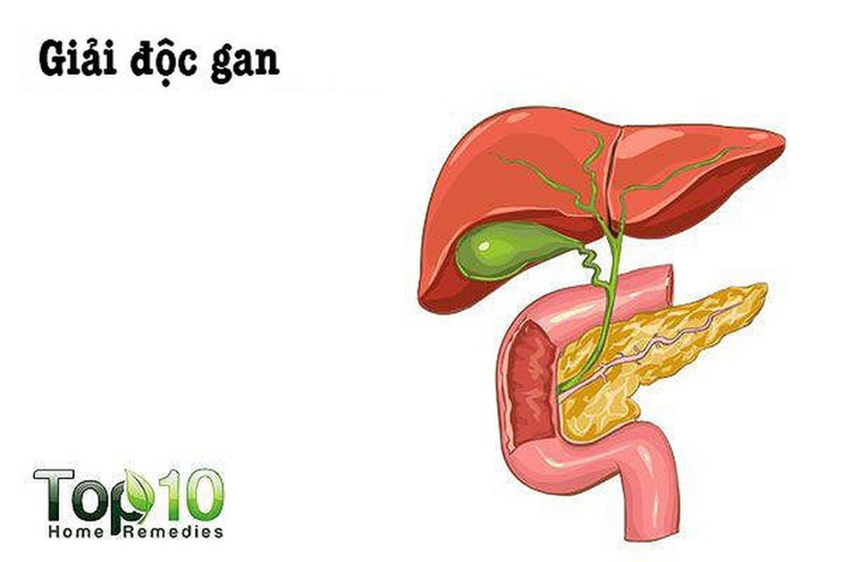 Phat hien bat ngo ve loi ich cua hat du du voi suc khoe-Hinh-5