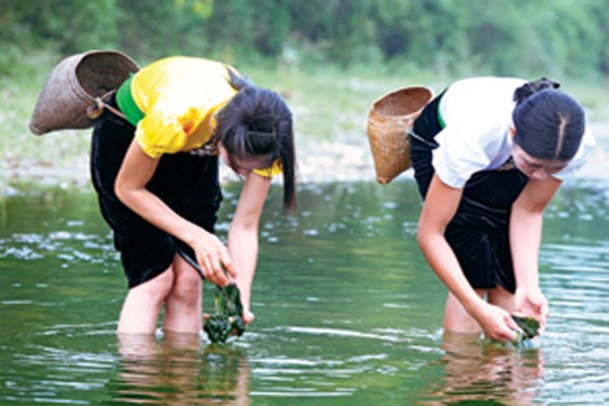 Ky la dac san reu da cua vung Tay Bac khong phai ai cung dam thu-Hinh-5