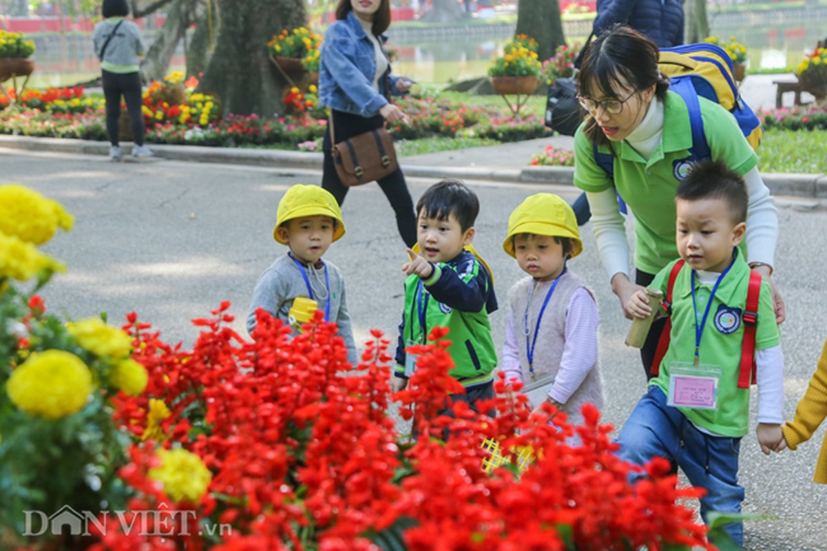 Trien lam hoa, cay canh tram trieu thu hut nguoi dan Ha Noi-Hinh-11