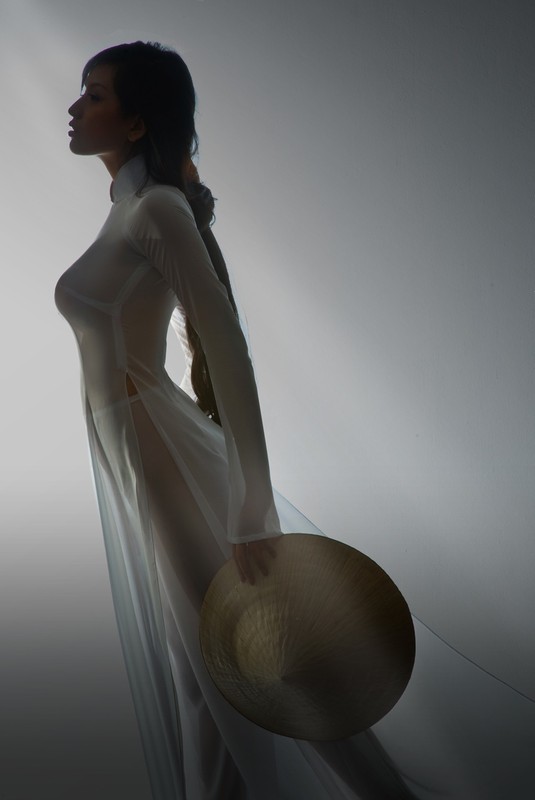 Tham hoa thoi trang khi my nhan Viet dien ao dai phan cam-Hinh-7