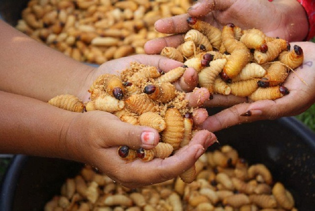 Loat mon ngon nhin thi ghe an lai nghien tu duong dua-Hinh-8