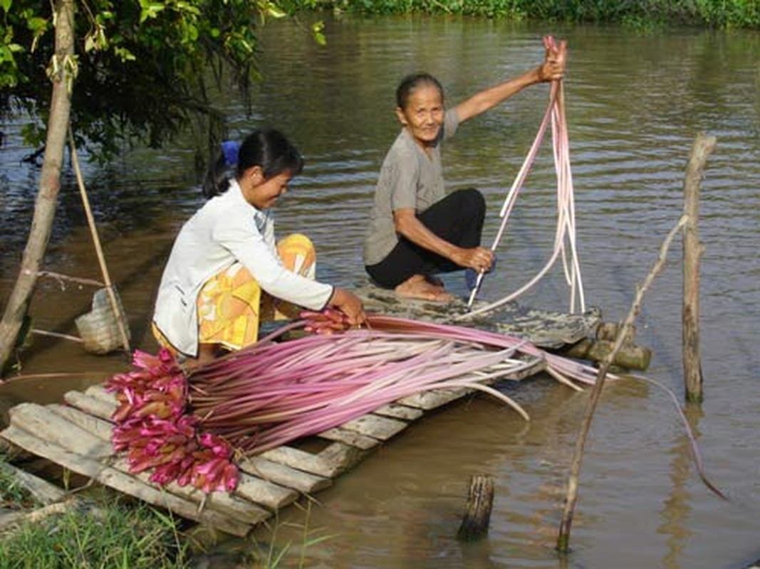 La mieng mon ngon tu bong sung – dac san dan da dong que-Hinh-6