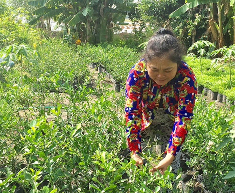 Trong thu tuong da bien mat o Viet Nam, nhan tenh ma 